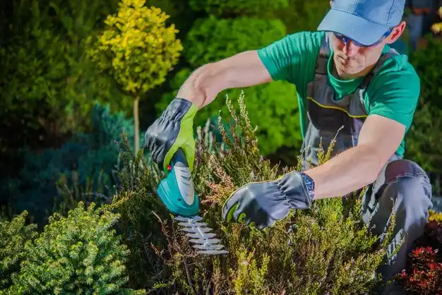 landscaping services Flowood